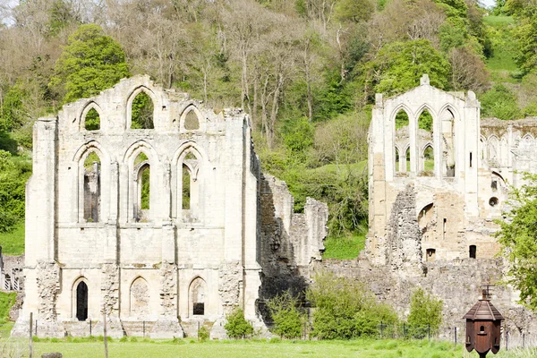 Ruines de l'abbaye de Rievaulx, Yorkshire du Nord, Angleterre — Photo