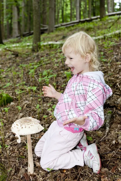 Svamp plockning liten flicka i skogen — Stockfoto