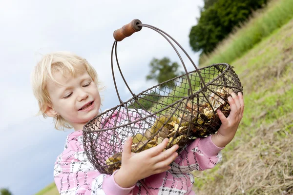 Портрет маленької дівчинки з кошиком грибів — стокове фото