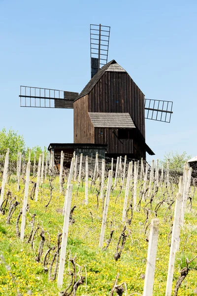 Mulino a vento in legno con vigneto, Klobouky u Brna, Repubblica Ceca — Foto Stock