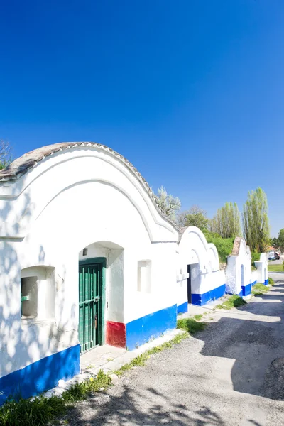 stock image Wine cellars, Petrov - Plze, Czech Republic