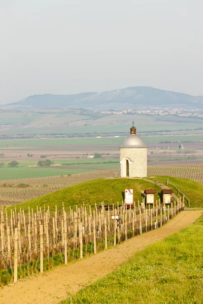Capilla con viñedo cerca de Velke Bilovice, República Checa —  Fotos de Stock