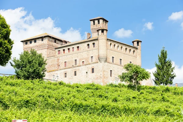 Castello di Grinzane Cavour con vigna, Piemonte, Italia — Foto Stock