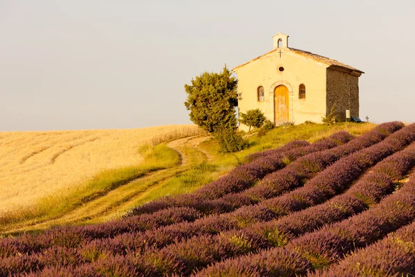 Kapelle mit Lavendel- und Getreidefeldern, Plateau de Valensole, — Stockfoto