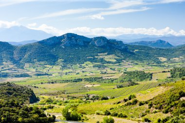 languedoc-roussillon, Fransa içinde vineyars