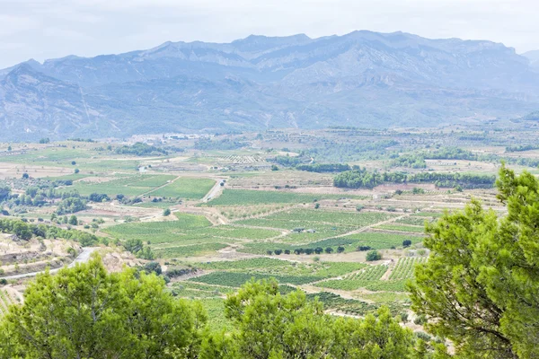 Landschaft am Coll del Moro — Stockfoto