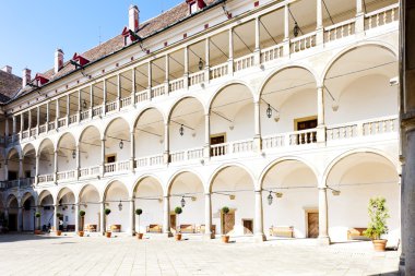 opocno Sarayı, Çek Cumhuriyeti