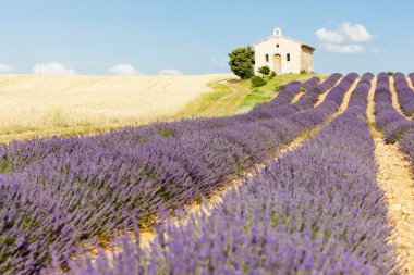 Chapel with lavender and grain fields, Plateau de Valensole, Pro clipart