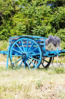 Cart with lavenders, Provence, France clipart