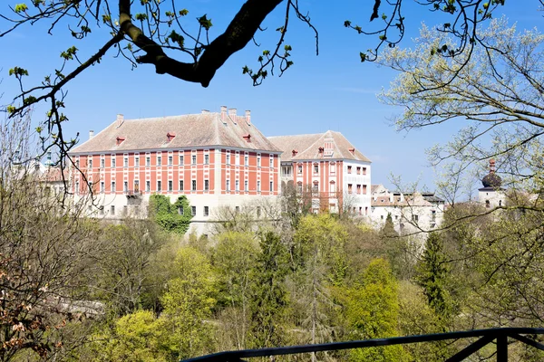 Opocno палац, Чеська Республіка — стокове фото