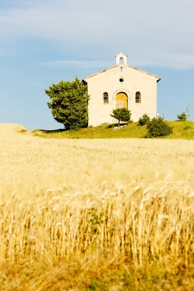 Capilla con campo de grano, Meseta de Valensole, Provenza, Francia —  Fotos de Stock