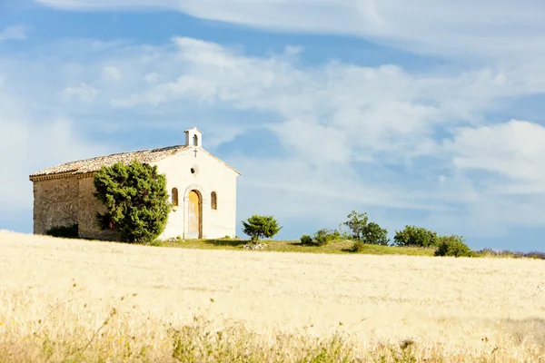Kapell med kornmark, Plateau de Valensole, Provence, Frankrike – stockfoto