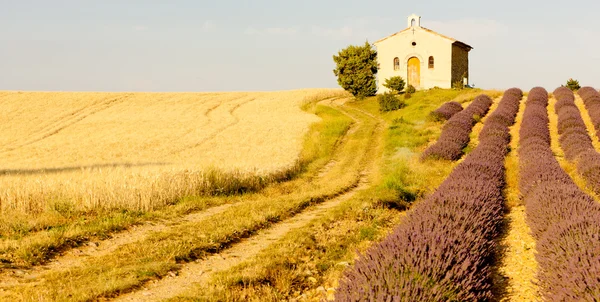 Часовня с лавандой и зерновыми полями, Плато-де-Валенсоул, Pro — стоковое фото