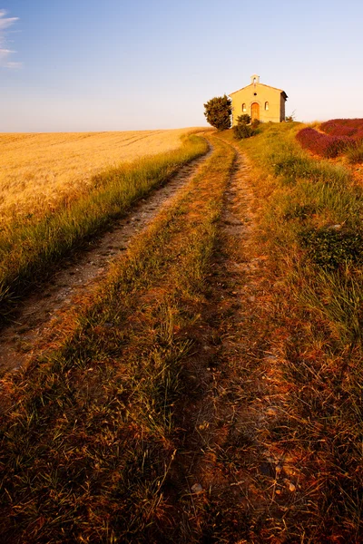 Kápolna, a gabona a mező, a Plateau de Valensole, Provence, Franciaország — Stock Fotó