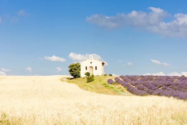 Kapelle mit Lavendel- und Getreidefeldern, Plateau de Valensole, — Stockfoto