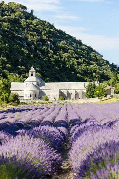Abadía de Senanque con campo de lavanda, Provenza, Francia —  Fotos de Stock