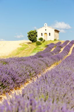 Chapel with lavender field, Plateau de Valensole, Provence, Fran clipart