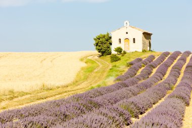 Chapel with lavender and grain fields, Plateau de Valensole, Pro clipart