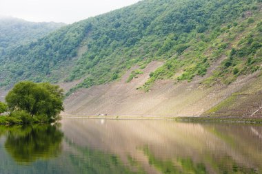 Moselle Vadisi, rhineland-palatinate, Almanya