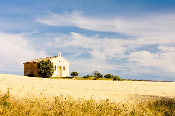 Capilla con campo de grano, Meseta de Valensole, Provenza, Francia —  Fotos de Stock