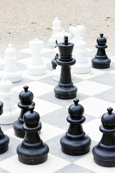 stock image The chess