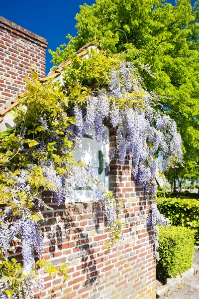 Дом с цветами, Нор-Па-де-Кале, Франция — стоковое фото