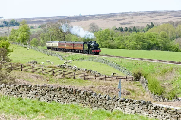 Steam train, North Yorkshire Moors Railway (NYMR), Yorkshire and — Stock Photo, Image