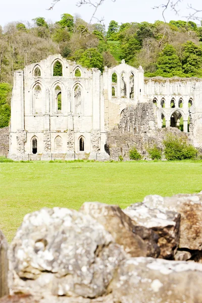 Ruinas de la Abadía de Rievaulx, Yorkshire del Norte, Inglaterra —  Fotos de Stock