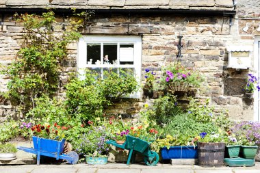 House with plants in Blanchland, Northumberland, England clipart