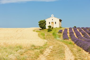 Şapel ile lavanta ve tahıl alanları, plato de valensole, pro