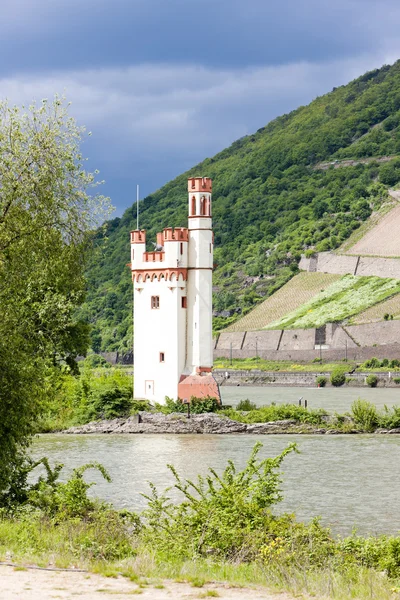 Binger Maeuseturm, Torre del Ratón en la Isla del Ratón, Renania-Palatí —  Fotos de Stock