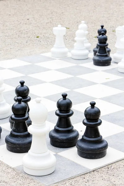 stock image Chess, Bingen am Rhein, Rhineland-Palatinate, Germany