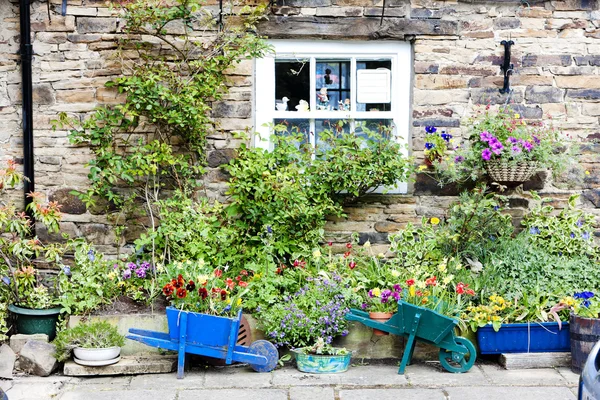 Hus med växter i blanchland, northumberland, england — Stockfoto