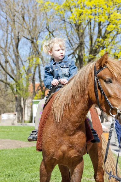 Κοριτσάκι με το άλογο — Φωτογραφία Αρχείου