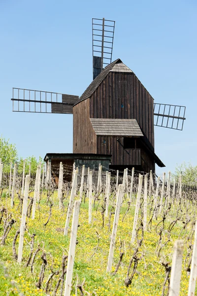 Trä väderkvarn med vingård, klobouky u brna, Tjeckien — Stockfoto