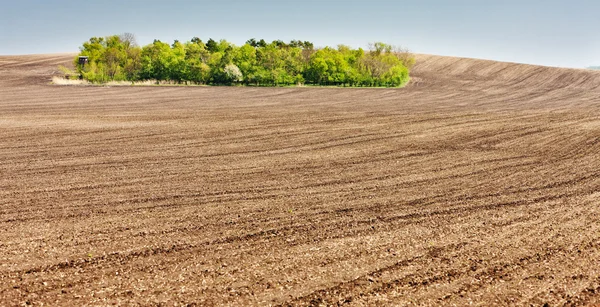 Paesaggio con un campo nella Moravia meridionale, Repubblica Ceca — Foto Stock