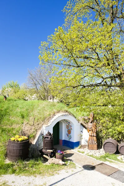 Şarap mahzeni, petrov - plze, Çek Cumhuriyeti — Stok fotoğraf