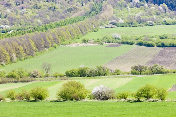 Landscape near Kuzelov, Czech Republic — Stock Photo, Image