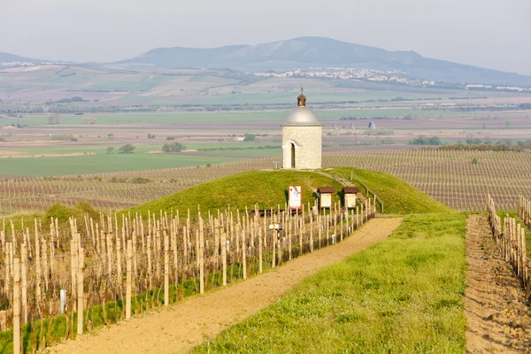 Chapel with vineyard near Velke Bilovice, Czech Republic — Stock Photo, Image