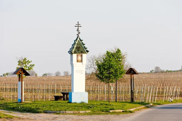 Boží mučení s vinicí poblíž Velké Bílovice, Česká republika — Stock fotografie