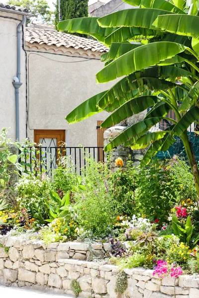 Ogród w Gréoux les-bains, Prowansja, Francja — Zdjęcie stockowe