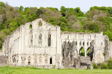 kalıntılar, Vilsın Manastırı, north yorkshire, İngiltere