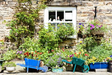 House bitkiler blanchland, northumberland, İngiltere