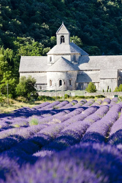 Abadía de Senanque con campo de lavanda, Provenza, Francia —  Fotos de Stock