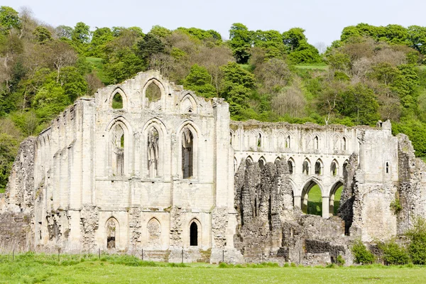 Ruinen von rievaulx abbey, north yorkshire, england — Stockfoto
