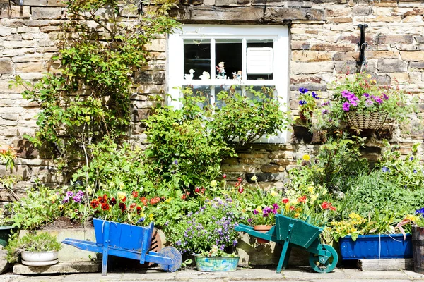 Hus med växter i blanchland, northumberland, england — Stockfoto