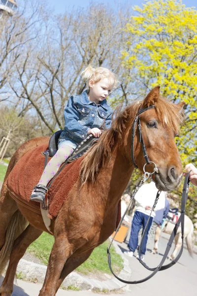 Menina a cavalo — Fotografia de Stock