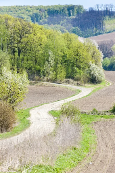 Весняний пейзаж з полями в Південній Моравії, Чехія — стокове фото