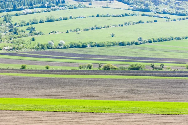 Landschaft bei Kuzelov, Tschechische Republik — Stockfoto