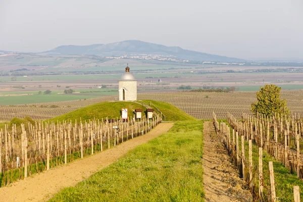 Часовня с виноградником рядом с Вельке Биловице, Чехия — стоковое фото
